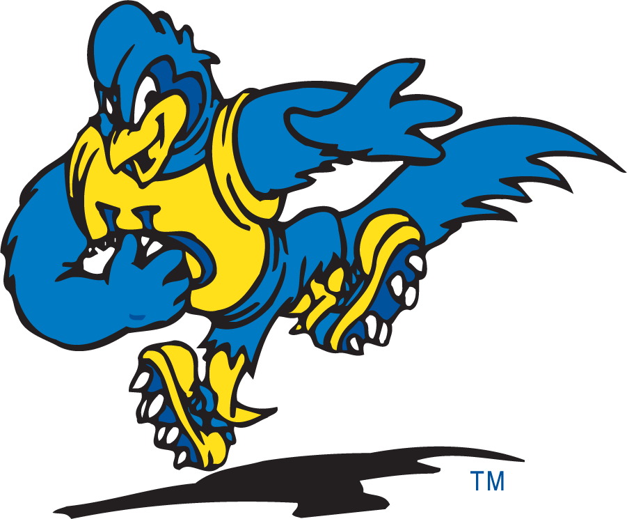 Delaware Blue Hens 1999-2009 Mascot Logo v11 diy DTF decal sticker